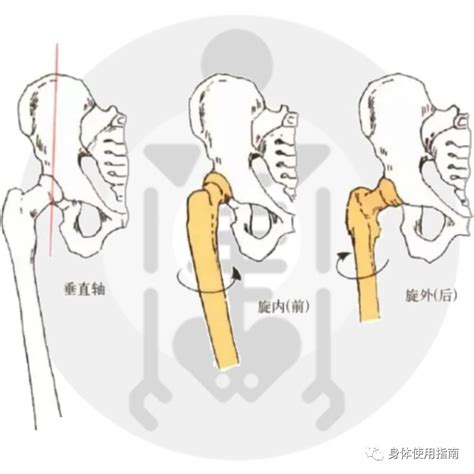 內是人還是入|「内」和「內」有什么区别？